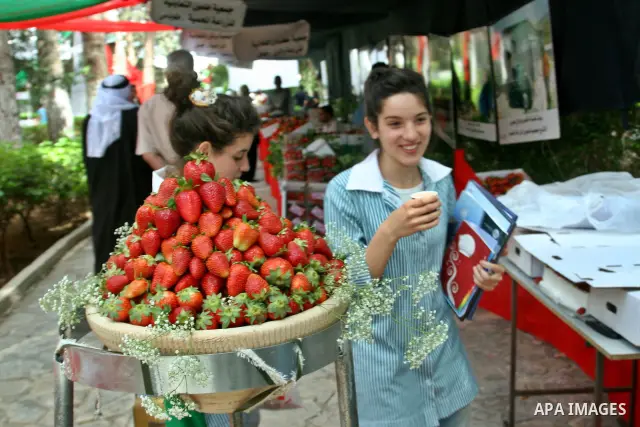 Palestinian girls participate in the opening of Palestinian agricultural festival at strawberry and roses , in the West Bank city of Nablus on May 23, 2012. Photo by Nedal Eshtayah