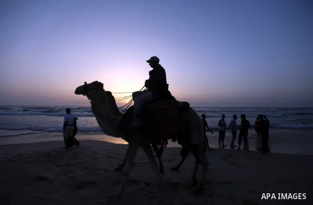 Palestinians ride their camels during sunset on the beach of Gaza City on May 24, 2012. Gaza beach is the only outlet for the Palestinians after tightening the Israeli blockade on the Gaza Strip. Photo by Majdi Fathi