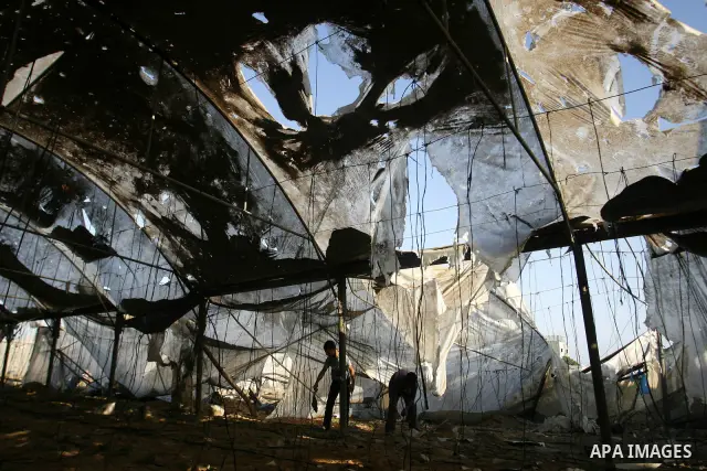 Palestinians inspect the damage at a chicken farm in in the southern Gaza Strip town of Rafah on June 5, 2012 following an Israeli air strike on the Gaza Strip. Photo by Eyad Al Baba