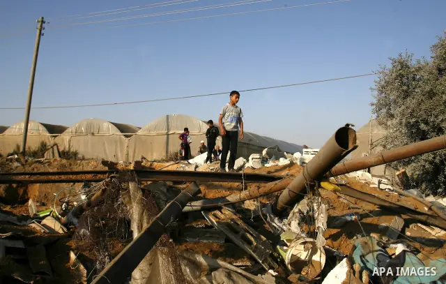 Palestinians inspect the damage at a chicken farm in in the southern Gaza Strip town of Rafah on June 5, 2012 following an Israeli air strike on the Gaza Strip. Photo by Eyad Al Baba