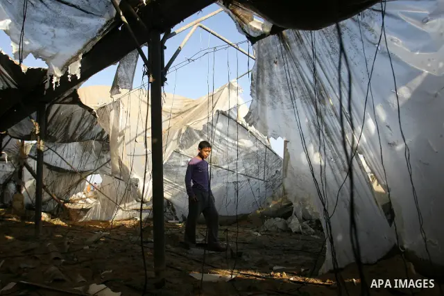 Palestinians inspect the damage at a chicken farm in in the southern Gaza Strip town of Rafah on June 5, 2012 following an Israeli air strike on the Gaza Strip. Photo by Eyad Al Baba