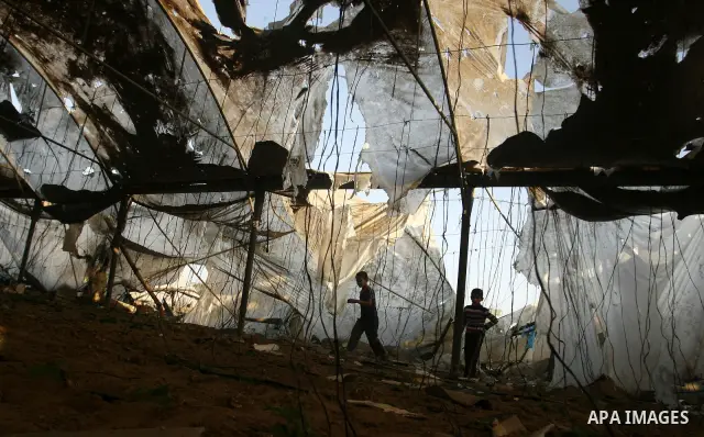 Palestinians inspect the damage at a chicken farm in in the southern Gaza Strip town of Rafah on June 5, 2012 following an Israeli air strike on the Gaza Strip. Photo by Eyad Al Baba