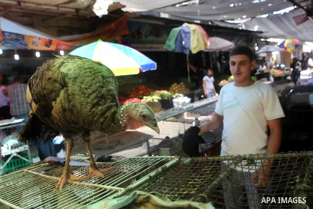 A Palestinian butcher stands in his shop at the popular AlZawya market in Gaza City on June. 12, 2012 . Photo by Ashraf Amra