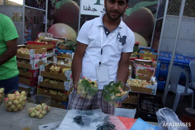 A Palestinian vendor decorates apricots during the opening of "Apricot Exhibition" in the village of Jaffna in the West Bank city of Ramallah, Thursday June 14, 2012. Photo by Issam Rimawi