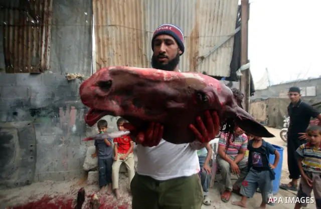 A Palestinian man carries the head of a slaughtered horse in a poor neighborhood in the central Gaza Strip on 15 June 2012. The people of the poor neighborhood in the center of Gaza strip slaughter horses every twenty da...