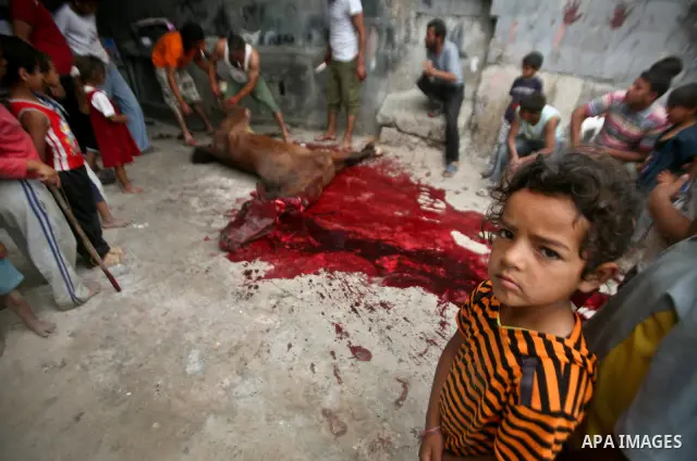 Palestinian children stand next to the body of a horse after it was slaughtered for meat in a poor neighborhood in the central Gaza Strip on 15 June 2012. The people of the poor neighborhood in the center of Gaza strip s...