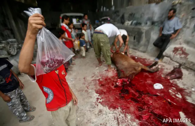 Palestinian children receive bags of horse meet in a poor neighborhood in the central Gaza Strip on 15 June 2012. The people of the poor neighborhood in the center of Gaza strip slaughter horses every twenty days, and di...
