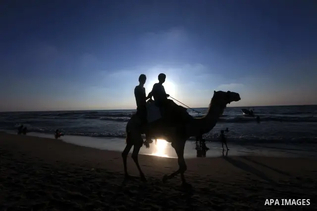 Palestinians ride a camel as others enjoy swimming in the sea on Gaza's beach on 27 June 2012 in Gaza. Photo by Majdi Fathi