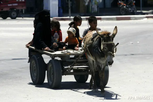 Palestinians walk on the cart during a demonstration demands to release them, in the southern Gaza Strip town of Rafah on July 05, 2012. Photo by Eyad Al Baba