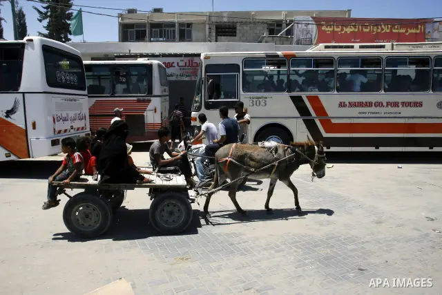 Palestinians walk on the cart during a demonstration demands to release them, in the southern Gaza Strip town of Rafah on July 05, 2012. Photo by Eyad Al Baba