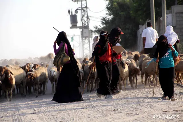Bedouin women graze their sheeps in Zeitoun neighborhood southern Gaza city on 09 July 2012. Photo by Ashraf Amra