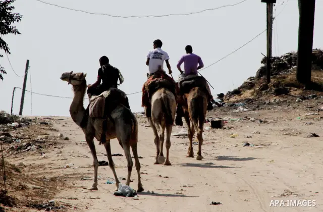 Palestinian youths ride camels in Zeitoun neighborhood southern Gaza city on 09 July 2012. Photo by Ashraf Amra