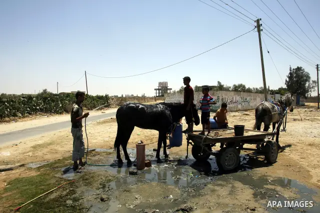 Palestinians wash their horse in the street during hot weather and high temperature in the southern Gaza Strip town of Rafah on July 12, 2012. Photo by Eyad Al Baba