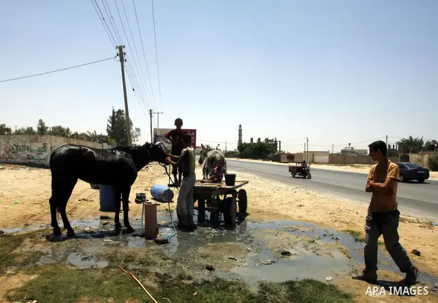 Palestinians wash their horse in the street during hot weather and high temperature in the southern Gaza Strip town of Rafah on July 12, 2012. Photo by Eyad Al Baba