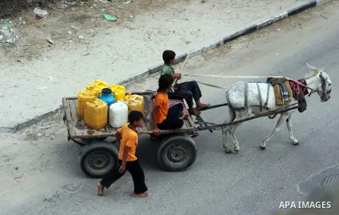 Palestinians carry potable water bottles filled on a cart near a water purification station, in Deir al-Balah central Gaza Strip, on July 11. 2012. Palestinians suffer from the severe lack of potable water during the hol...