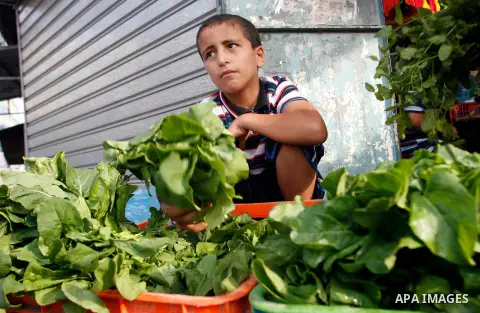 A Palestinian child sells greens during fasting month of Ramadan in Rafah refugee camp southern Gaza strip, on July 27, 2012. Muslims around the world abstain from eating, drinking and conducting sexual relations from da...