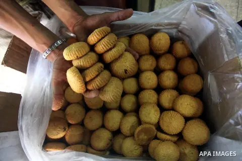 Palestinian workers make traditional date-filled cookies in preparation for the Eid al-Fitr holiday at bakery in the Gaza Strip on August 16, 2012. Muslims around the world are preparing to celebrate the Eid al-Fitr holi...