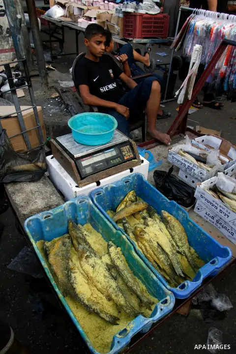 A Palestinian vendor sells traditional salted fish at a market in the southern Gaza strip town of Rafah on Aug 17,2012, as Muslims over the world prepare to celebrate Eid al-Fitr, a three day holiday marking the end of t...