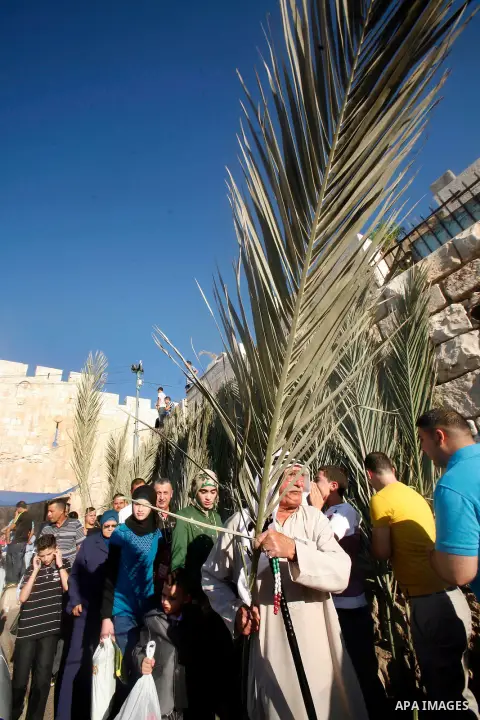 A Palestinian man hold fronds top put it on the tomb after the Eid al-Fitr prayers in Jerusalem's Old City, Sunday, Aug. 19, 2012. Muslims are celebrating the festival of Eid al-Fitr which marks the end of the holy fasti...