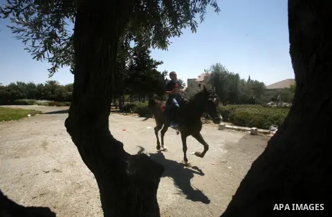 Palestinian boys ride horses and donkeys at an entertainment park in Arab east Jerusalem, on August 19, 2012,Photo by Mahfouz Abu Turk.