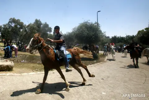 Palestinian boys ride horses and donkeys at an entertainment park in Arab east Jerusalem, on August 19, 2012,Photo by Mahfouz Abu Turk.