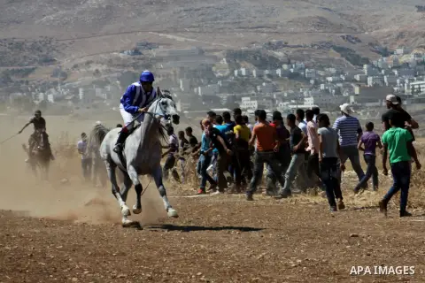Palestinian jockeys ride their horses during a race in the West Bank city of Nablus on Aug 21, 2012. Hundreds of Palestinians from all over the West Bank gathered to follow the horse race on Tuesday in the northern West...