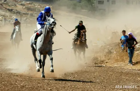 Palestinian jockeys ride their horses during a race in the West Bank city of Nablus on Aug 21, 2012. Hundreds of Palestinians from all over the West Bank gathered to follow the horse race on Tuesday in the northern West...