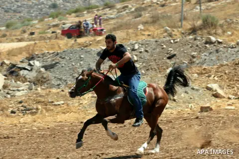 Palestinian jockeys ride their horses during a race in the West Bank city of Nablus on Aug 21, 2012. Hundreds of Palestinians from all over the West Bank gathered to follow the horse race on Tuesday in the northern West...