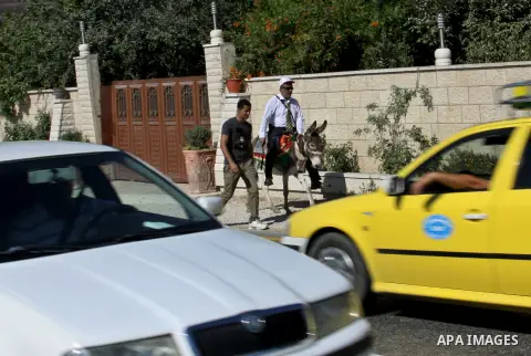 A Palestinian journalist, Rommel Suyuti rides a donkey during a protest against rising fuel prices, in the West Bank city of Nablus, on Sep. 03, 2012. Photo by Nedal Eshtayah