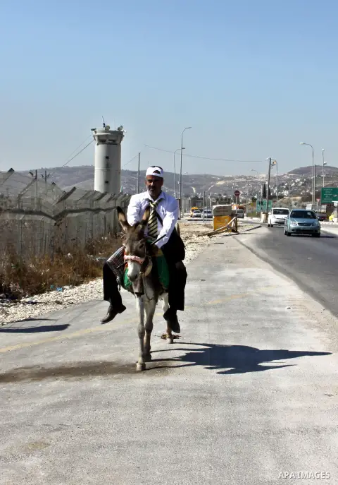 A Palestinian journalist, Rommel Suyuti rides a donkey during a protest against rising fuel prices, in the West Bank city of Nablus, on Sep. 03, 2012. Photo by Nedal Eshtayah
