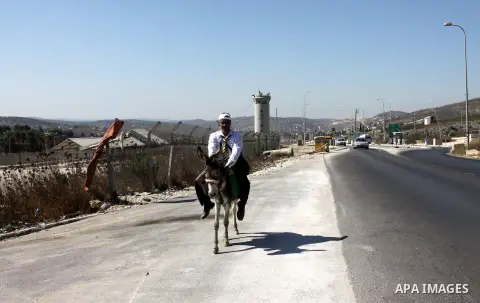A Palestinian journalist, Rommel Suyuti rides a donkey during a protest against rising fuel prices, in the West Bank city of Nablus, on Sep. 03, 2012. Photo by Nedal Eshtayah