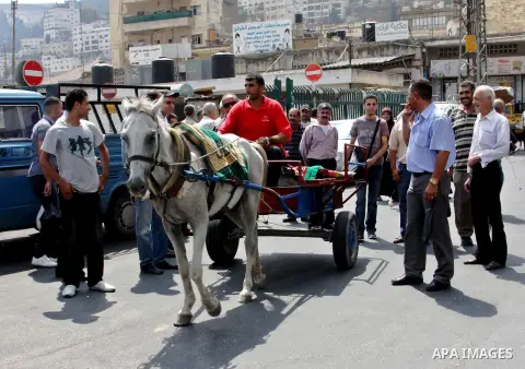 A Palestinian man rides a horse cart in a street cars during a protest against rising fuel prices and the high cost of living, in the West Bank city of Nablus, on Sep. 10, 2012. Photo by Nedal Eshtayah
