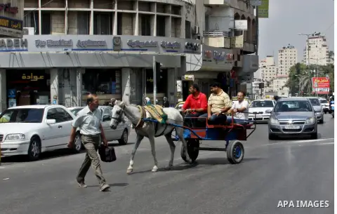 A Palestinian man rides a horse cart in a street cars during a protest against rising fuel prices and the high cost of living, in the West Bank city of Nablus, on Sep. 10, 2012. Photo by Nedal Eshtayah