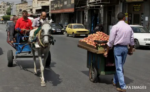 A Palestinian man rides a horse cart in a street cars during a protest against rising fuel prices and the high cost of living, in the West Bank city of Nablus, on Sep. 10, 2012. Photo by Nedal Eshtayah