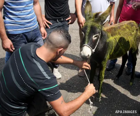 Palestinians ride a donkey and shout slogans during a protest against the high cost of living on September 10, 2012 in the West Bank city of Ramallah. Cities across the West Bank ground to a halt as transport unions call...