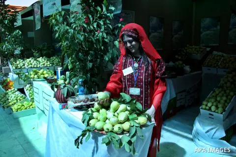 A Palestinian girl wears a traditional dress and displays guava fruits, during the guava festival in the West Bank city of Qalqilya, Sept. 17, 2012. Photo by Nedal Eshtayah