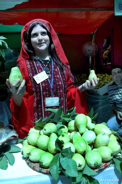 A Palestinian girl wears a traditional dress and displays guava fruits, during the guava festival in the West Bank city of Qalqilya, Sept. 17, 2012. Photo by Nedal Eshtayah