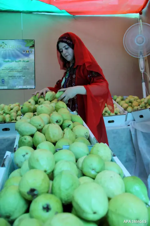 A Palestinian girl wears a traditional dress and displays guava fruits, during the guava festival in the West Bank city of Qalqilya, Sept. 17, 2012. Photo by Nedal Eshtayah