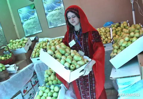 A Palestinian girl wears a traditional dress and displays guava fruits, during the guava festival in the West Bank city of Qalqilya, Sept. 17, 2012. Photo by Nedal Eshtayah