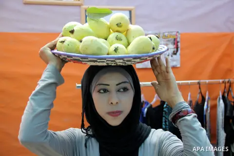 A Palestinian girl carries guava fruits, during the guava festival in the West Bank city of Qalqilya, Sept. 17, 2012. Photo by Nedal Eshtayah