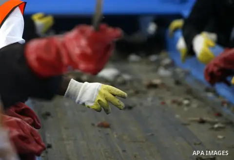 Palestinian women sort solid waste for production compost in station in Rafah in the southern Gaza Strip, on Sep. 23, 2012 Some Palestinians, driven by poverty exacerbated by the Israeli blockade and lack of employment o...