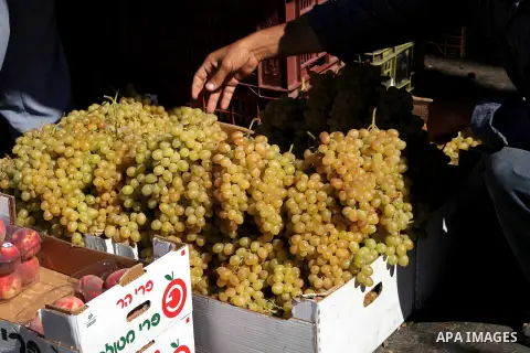 A Palestinian vendor displays grapes at a market in Gaza city, Sept. 23, 2012. The ministry of agriculture in Gaza government decided stop import fruits from Israel except apples and bananas to support the local fruits p...