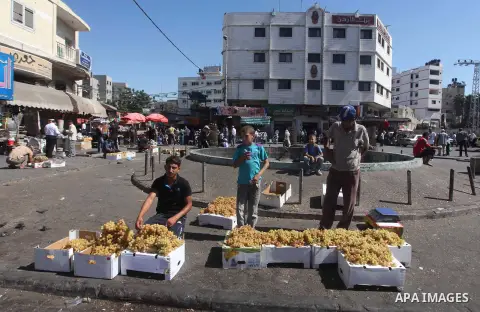 A Palestinian vendor displays grapes at a market in Gaza city, Sept. 23, 2012. The ministry of agriculture in Gaza government decided stop import fruits from Israel except apples and bananas to support the local fruits p...