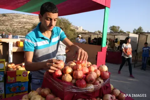 A Palestinian youth displays pomegranate fruits during the pomegranate festival in the village of Ein Arik near the West Bank city of Ramallah, Sept. 27, 2012. Photo by Issam Rimawi