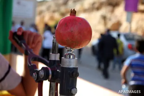 A Palestinian youth squeezes pomegranate fruits during the pomegranate festival in the village of Ein Arik near the West Bank city of Ramallah, Sept. 27, 2012. Photo by Issam Rimawi