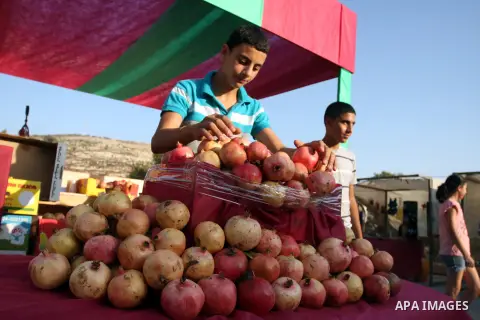 A Palestinian youth displays pomegranate fruits during the pomegranate festival in the village of Ein Arik near the West Bank city of Ramallah, Sept. 27, 2012. Photo by Issam Rimawi