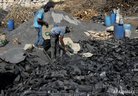 Palestinian workers collect a coal at a work field in the village in the city of Jenin on Sep. 30, 2012. Photo by Nedal Eshtayah
