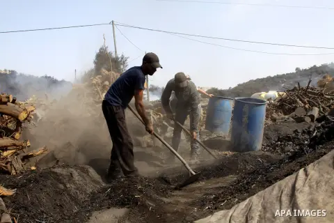 Palestinian workers collect a coal at a work field in the village in the city of Jenin on Sep. 30, 2012. Photo by Nedal Eshtayah