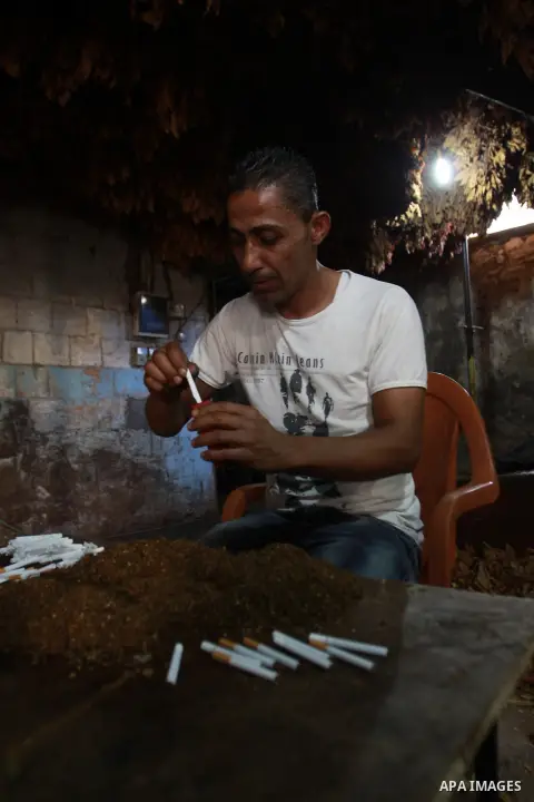 A Palestinian farmer stuffs Arabic tobacco into cigarettes at a farm in the West Bank village Yaabed, near Jenin, on Oct. 8, 2012. Arabic Tobacco cigarettes manufacturing is famous in Yaabed village which produce a quali...