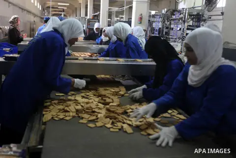 Palestinian workers quality control biscuits at the al-Awda factory in Deir al-Balah, in the central Gaza strip, on October 10, 2012. The World Food Program (WFP) will export the biscuits to United Nation run schools in...